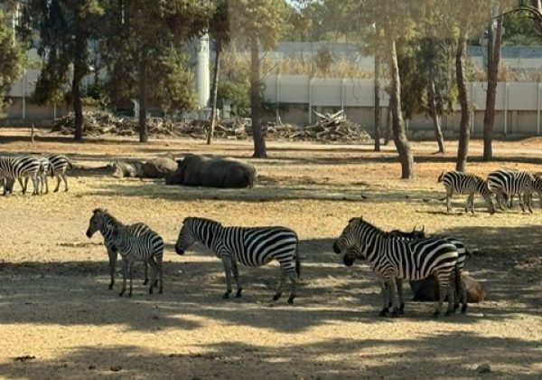 תלמידי שכבה ח' בסיור מדעי מרתק בספארי